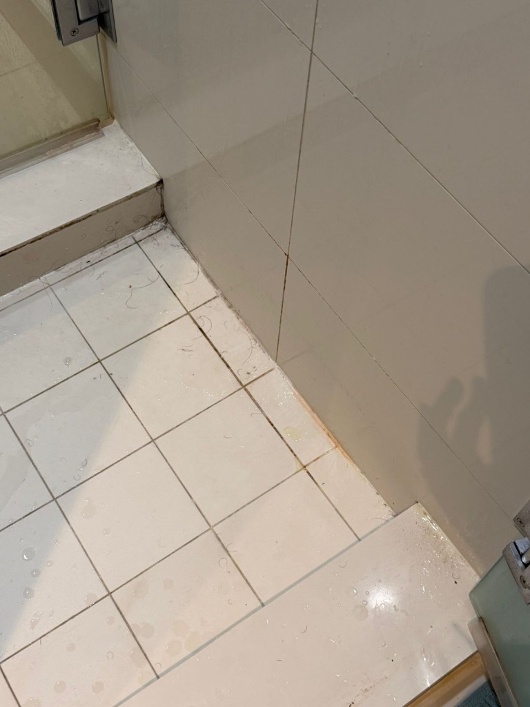 Before cleaning